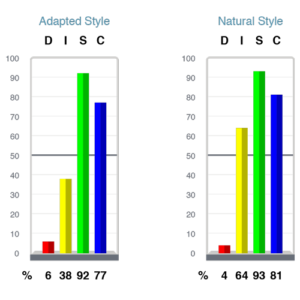 DISC - Behaviors in Perspective